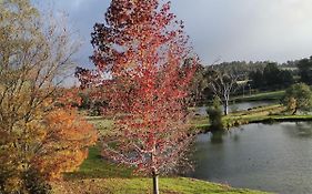 Woodlands Of Balingup Bush Cottages -Flora & Fauna Focused